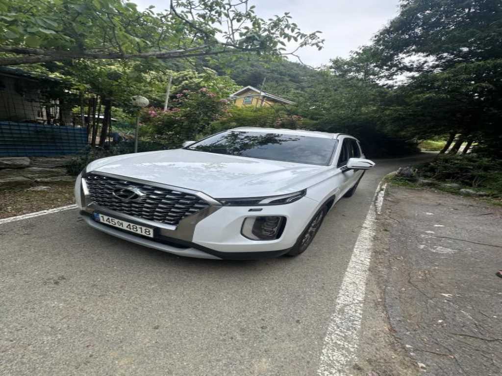 HYUNDAI Palisade - Vista 5