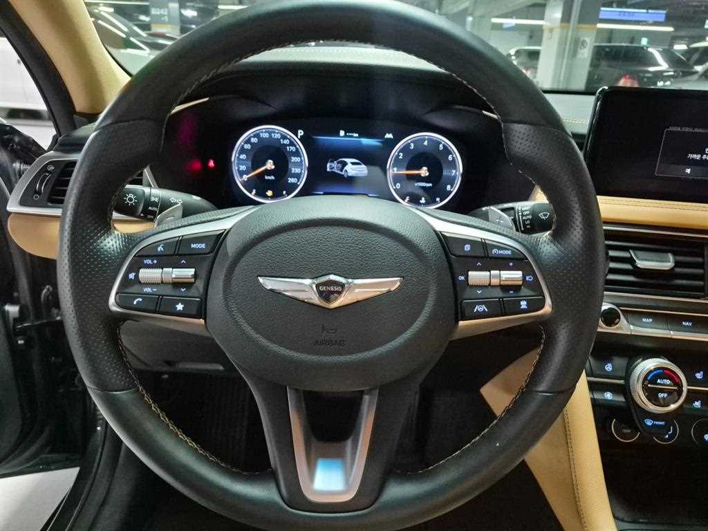 Genesis G70 - Vista 12