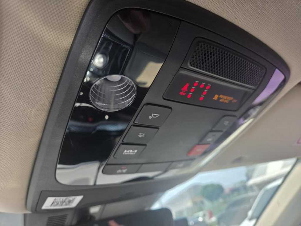 KIA Carnival - Vista 8