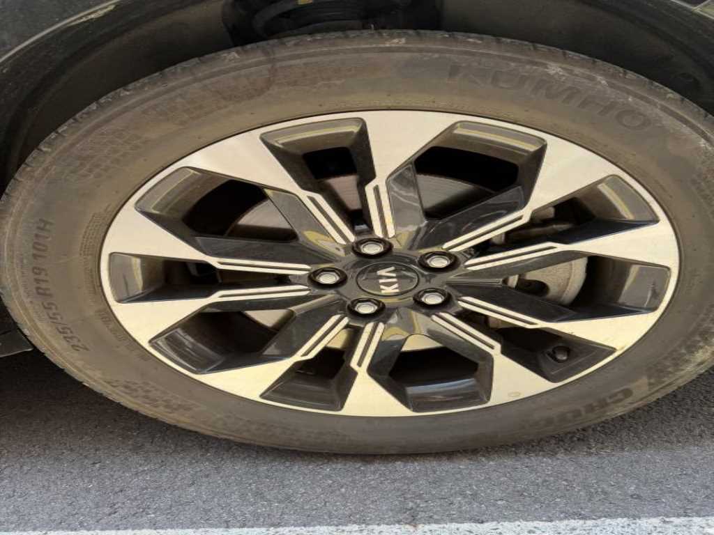 KIA Carnival - Vista 12