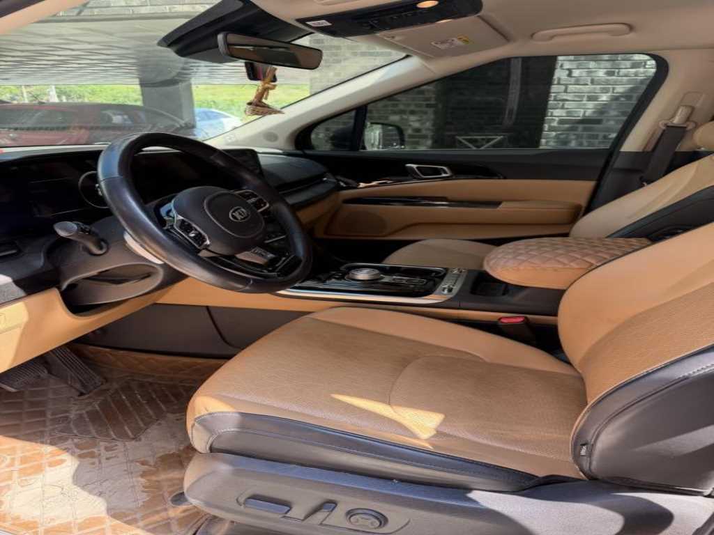 KIA Carnival - Vista 6