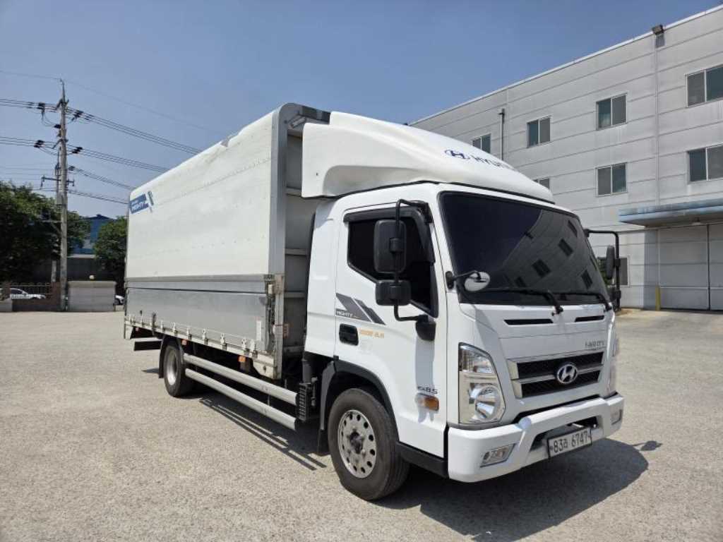 medium and large cargo truck 2019 Blanco - Importación desde Corea - HF Imports Iquique - Foto 1