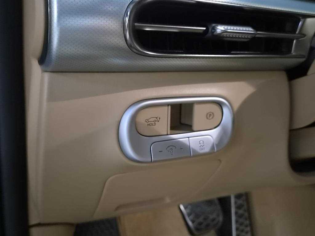 Genesis GV60 - Vista 10