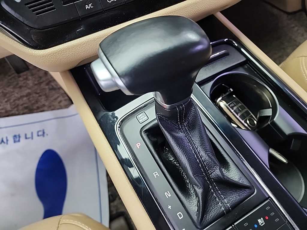 KIA Carnival - Vista 8