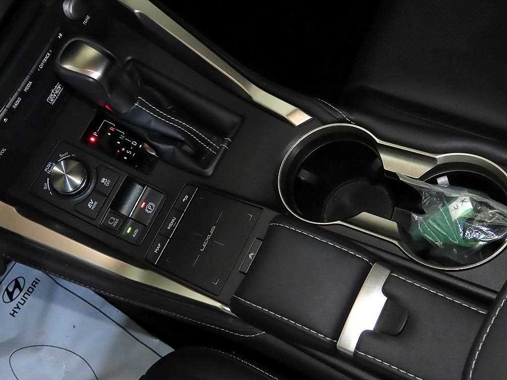 Lexus NX - Vista 12