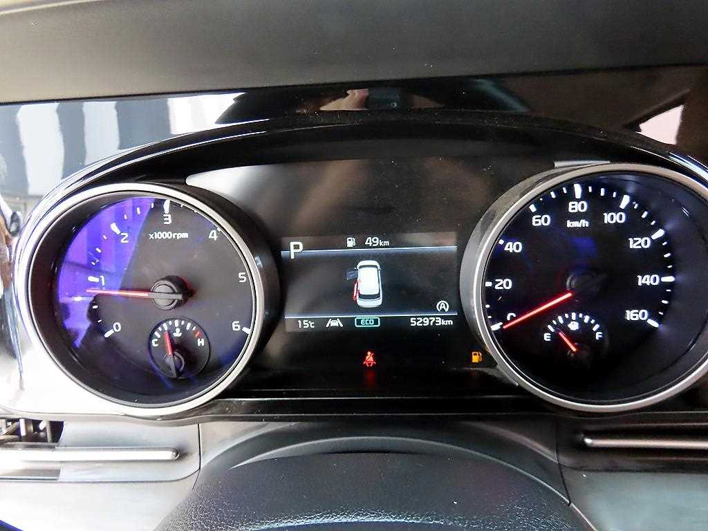 KIA Carnival - Vista 10