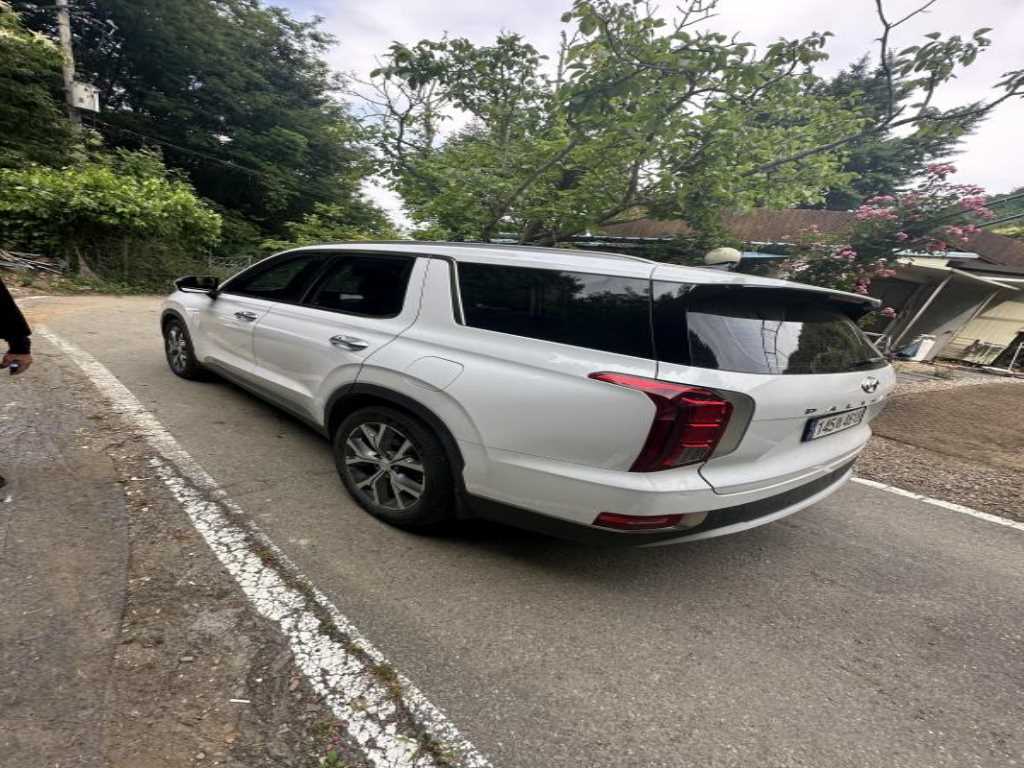 HYUNDAI Palisade - Vista 4