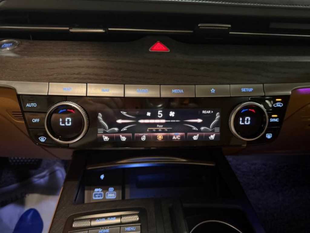 Genesis G80 - Vista 12