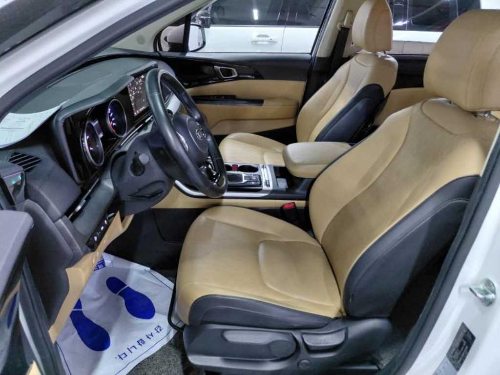 KIA Carnival - Vista 6
