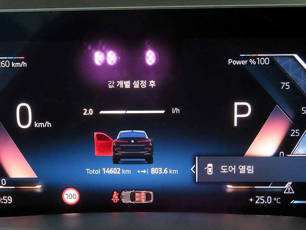 BMW X6 - Vista 9