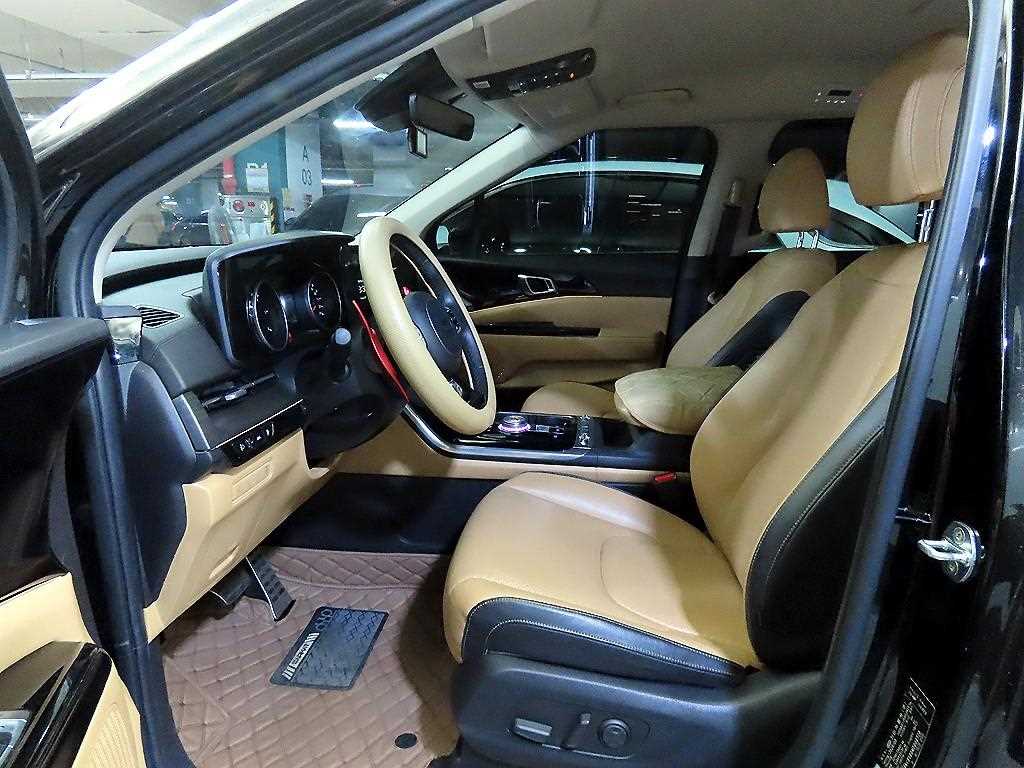 KIA Carnival - Vista 6