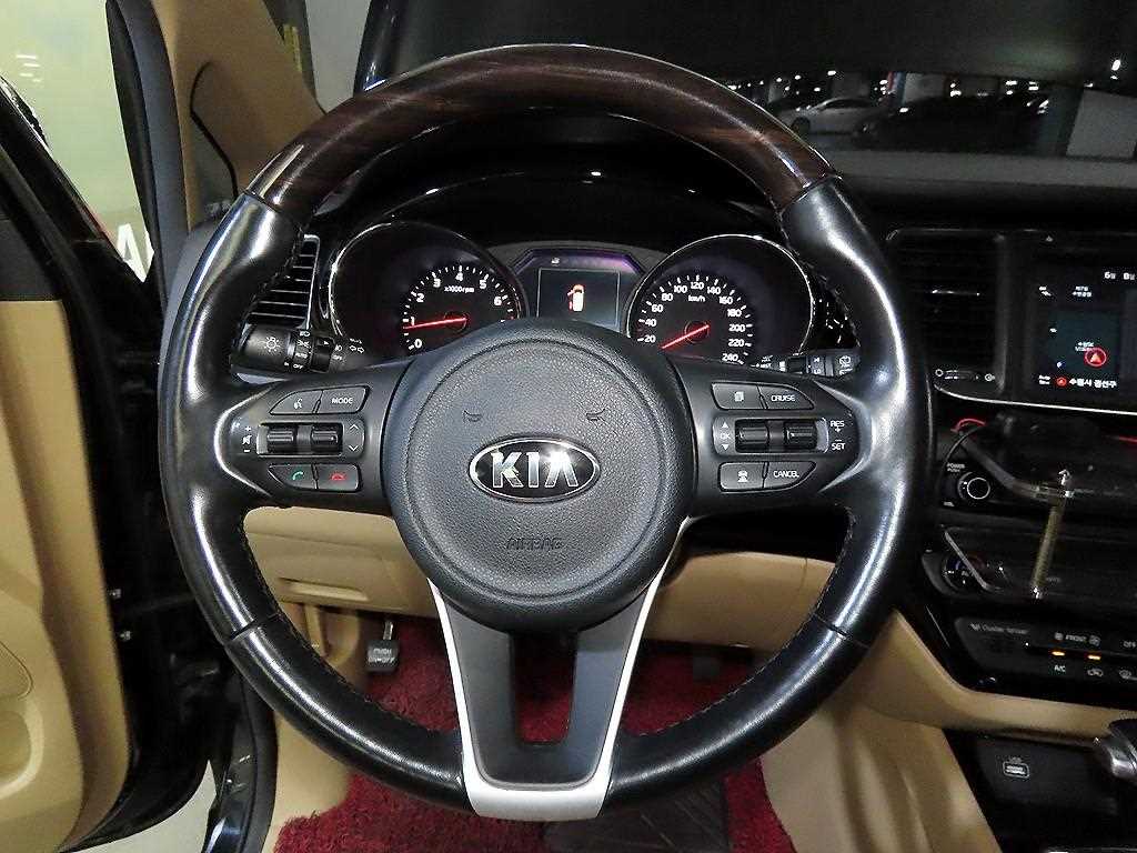 KIA Carnival - Vista 8