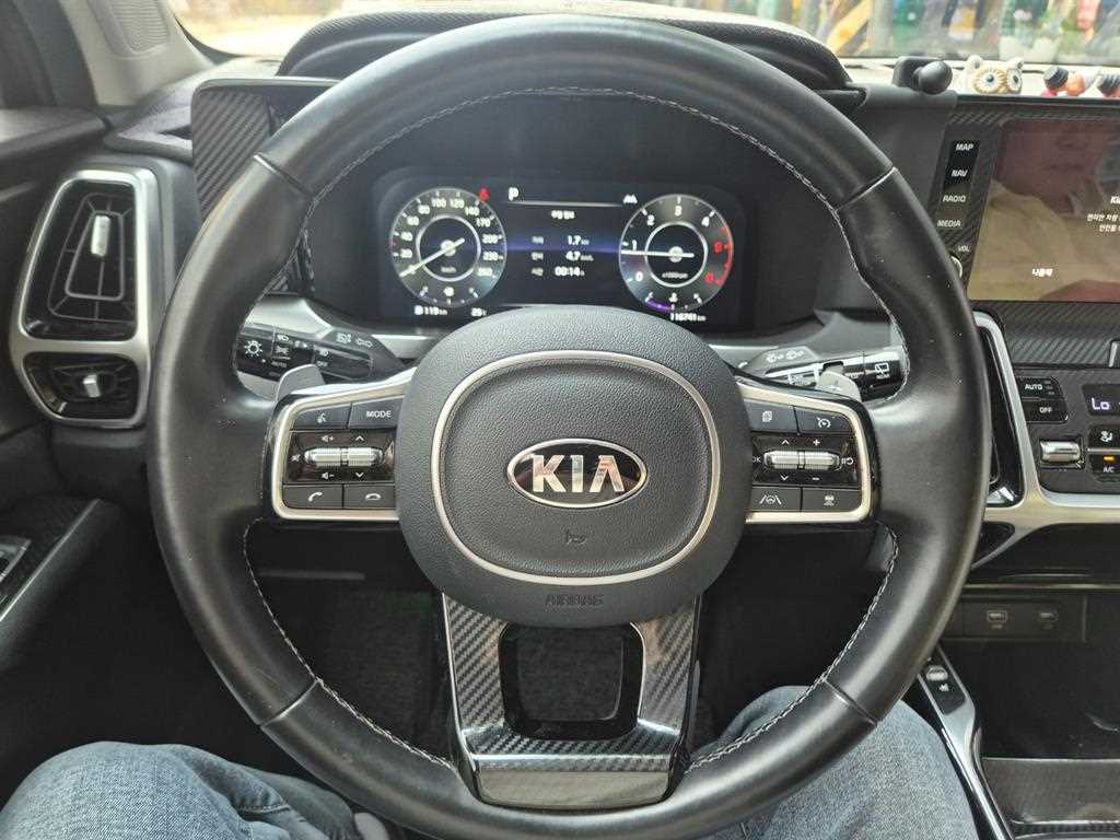 KIA Sorento - Vista 10