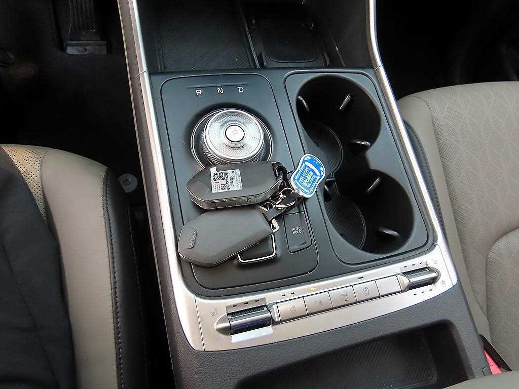 KIA Carnival - Vista 11