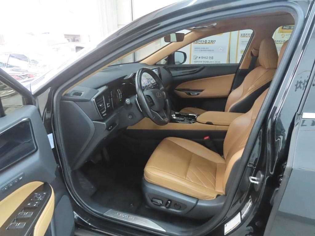 Lexus NX - Vista 5