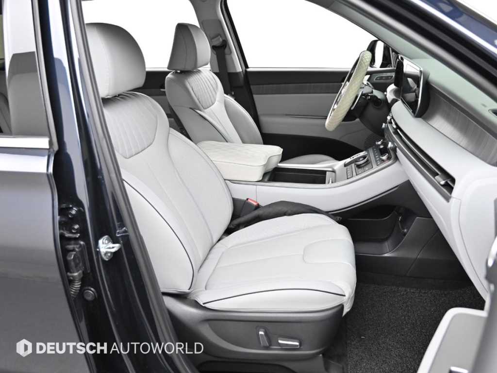 HYUNDAI Palisade - Vista 10