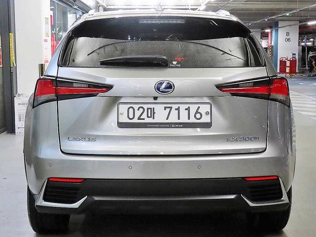Lexus NX - Vista 5