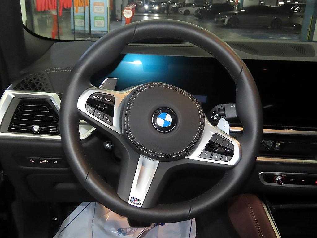 BMW X6 - Vista 8