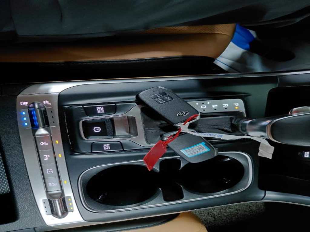 KIA Carnival - Vista 12