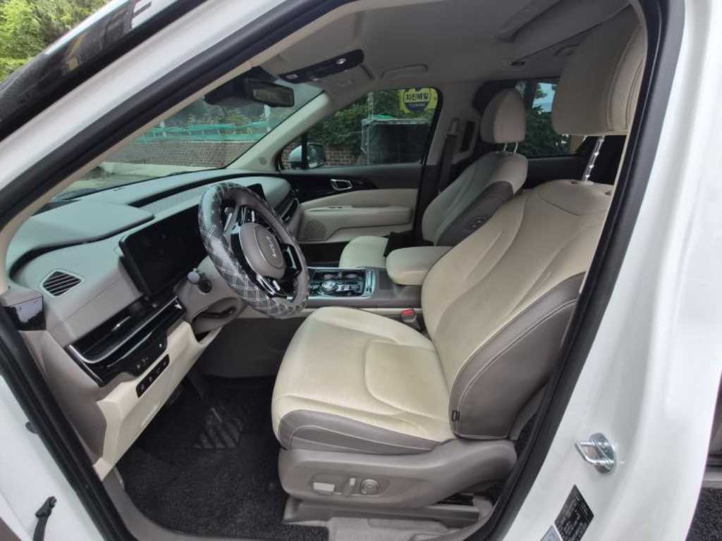 KIA Carnival - Vista 8