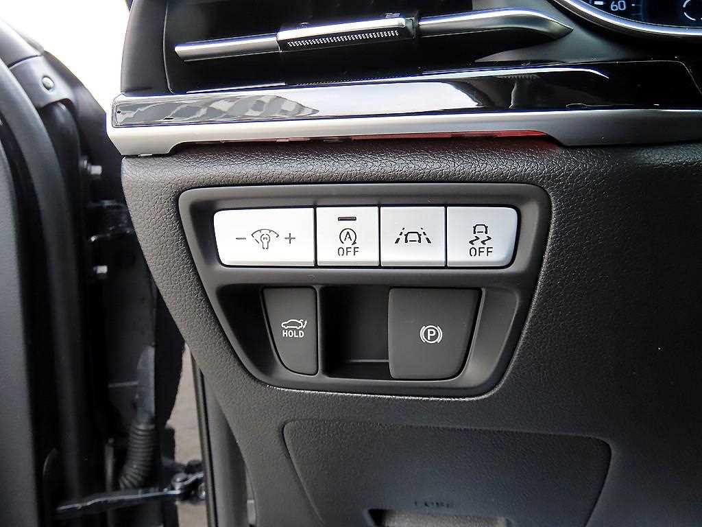 Genesis G80 - Vista 12