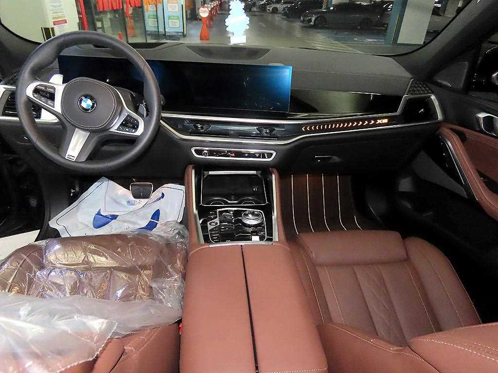 BMW X6 - Vista 10