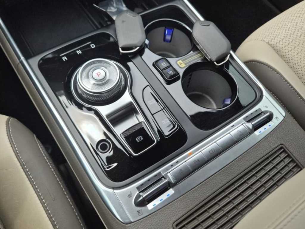 KIA Carnival - Vista 12