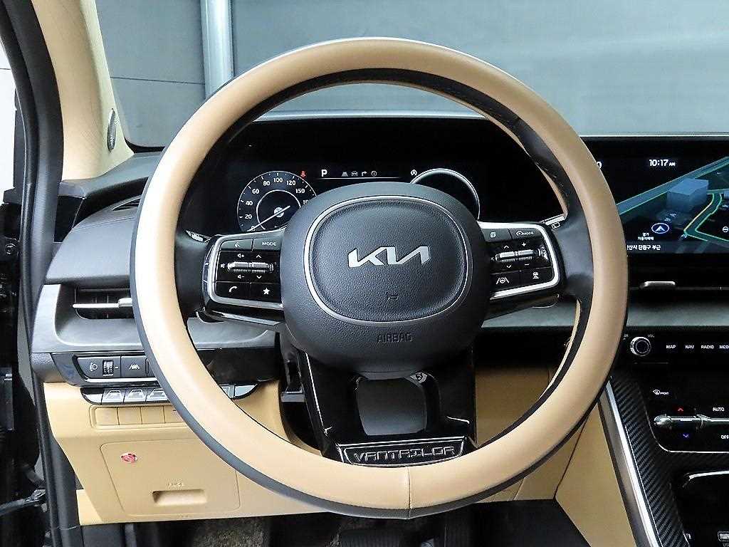 KIA Carnival - Vista 10