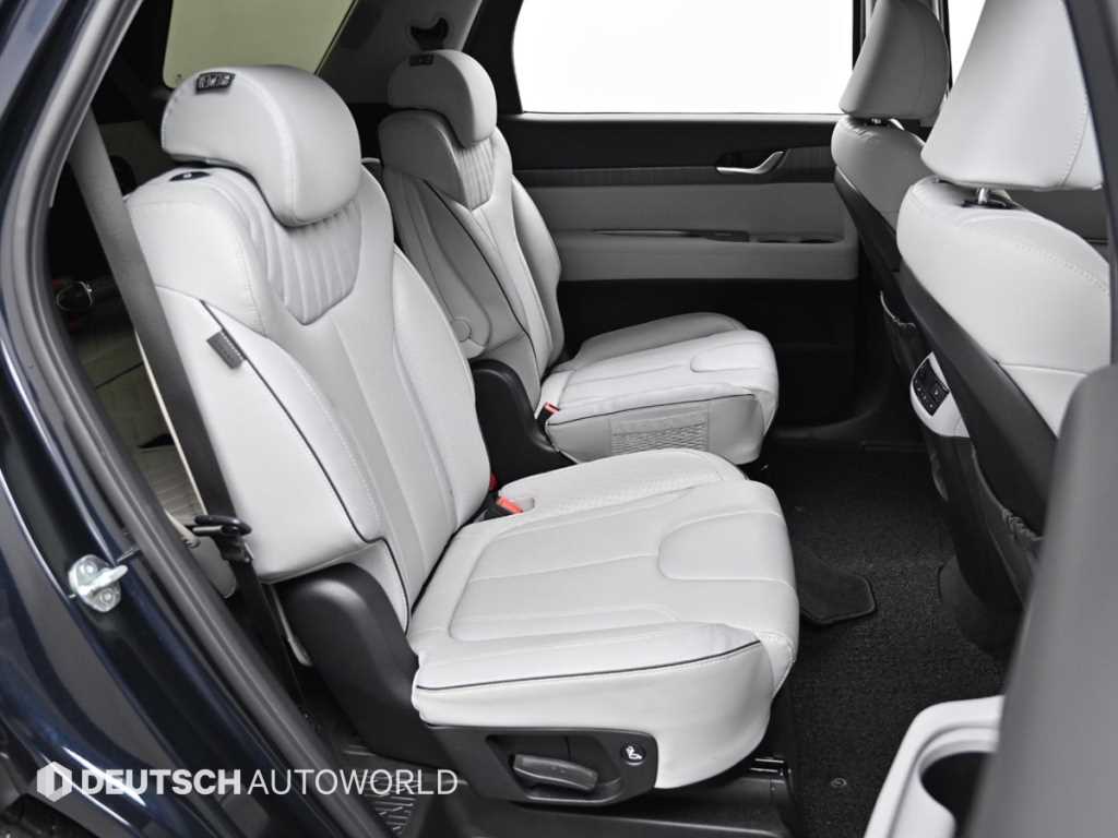 HYUNDAI Palisade - Vista 12