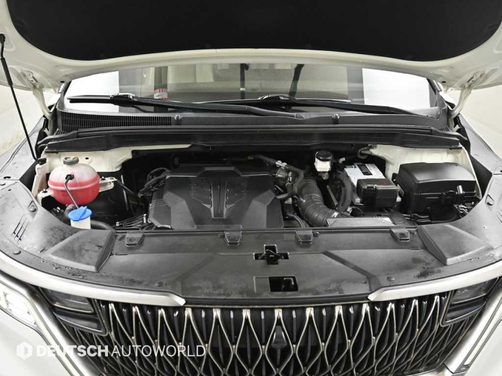 KIA Carnival - Vista 6