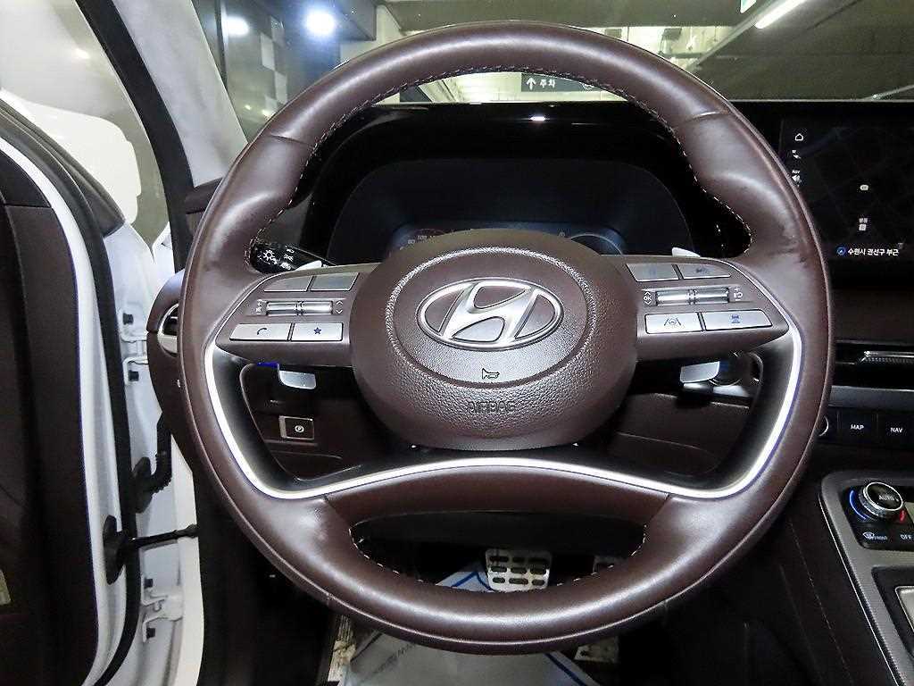 HYUNDAI Palisade - Vista 10