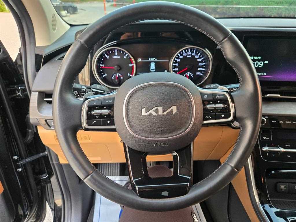 KIA Carnival - Vista 8