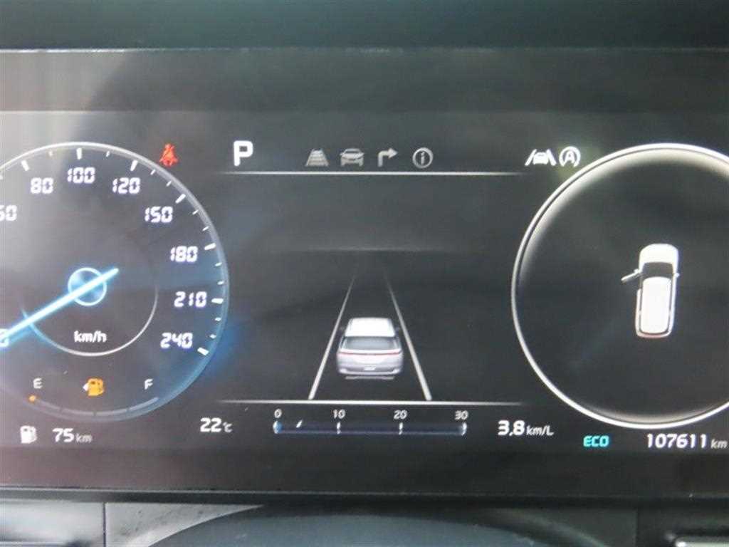 KIA Carnival - Vista 12
