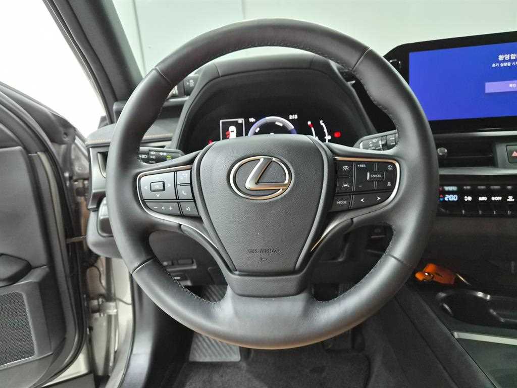 Lexus UX - Vista 8