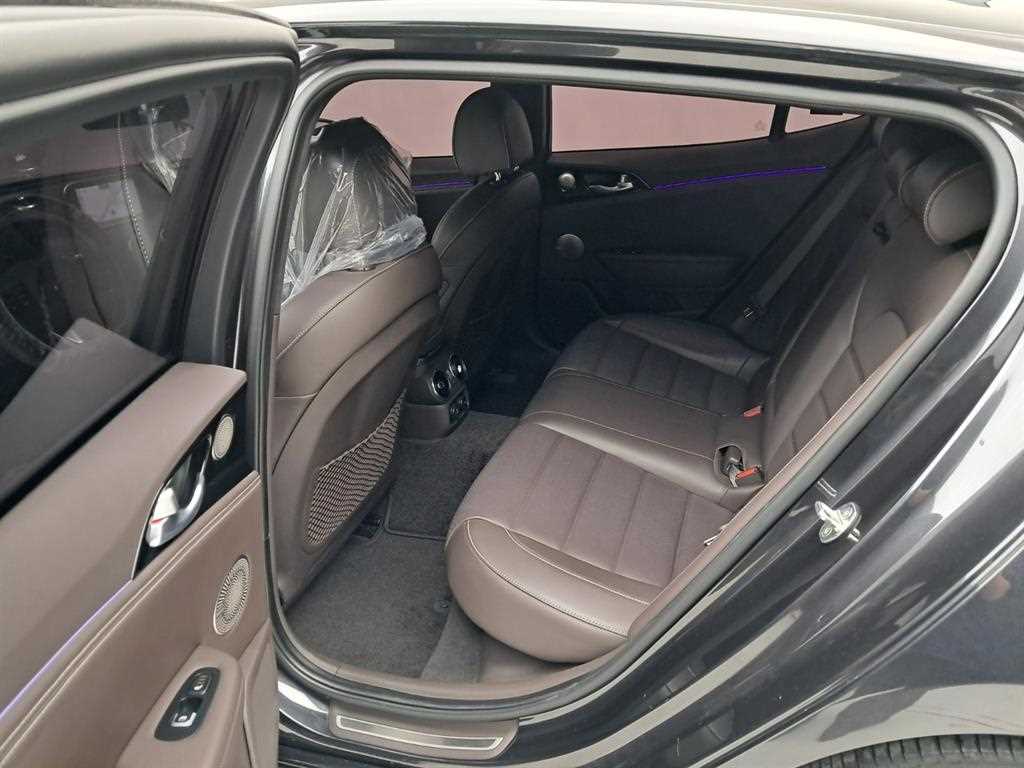 KIA Stinger - Vista 12
