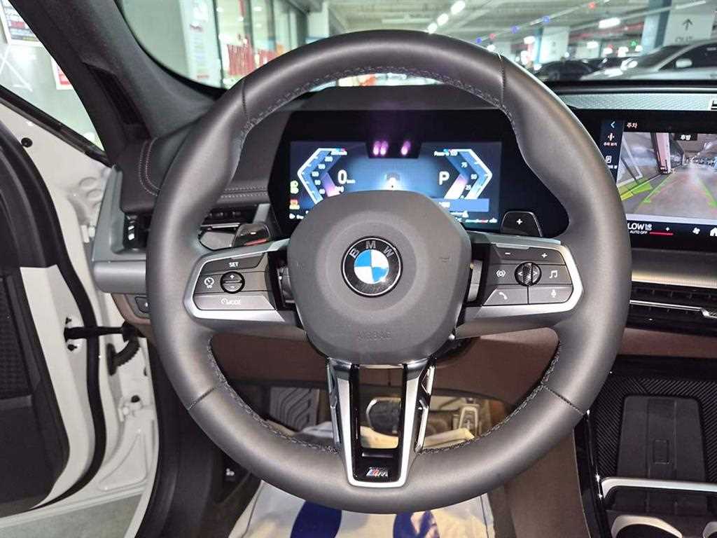 BMW X1 - Vista 10