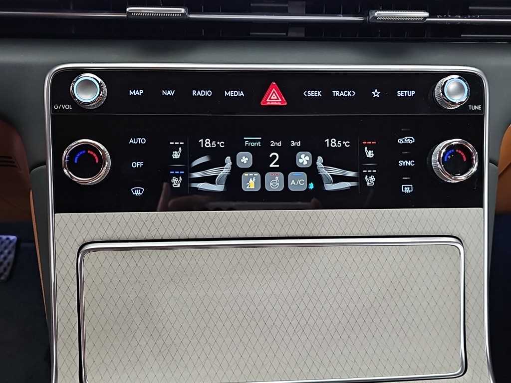 Genesis GV80 - Vista 10