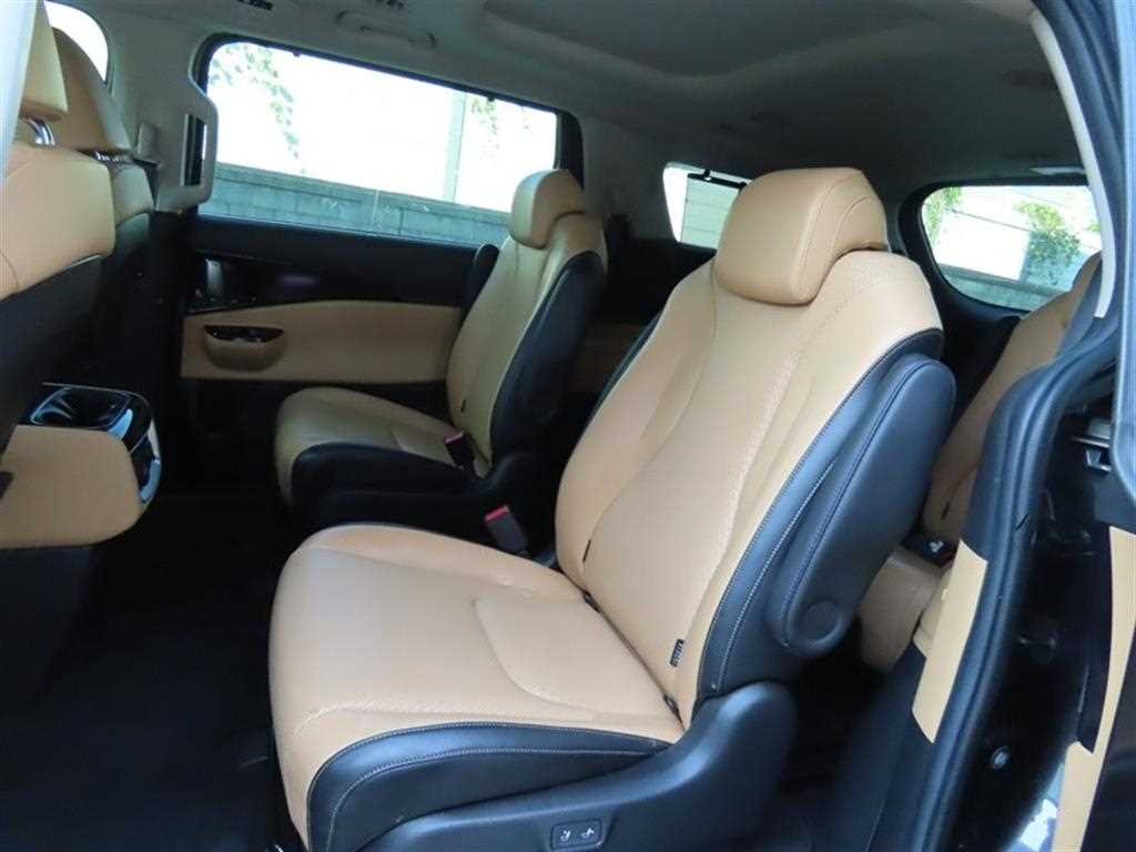 KIA Carnival - Vista 8