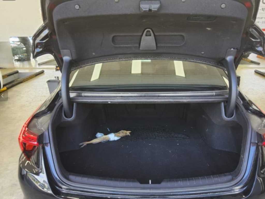 KIA K8 - Vista 8