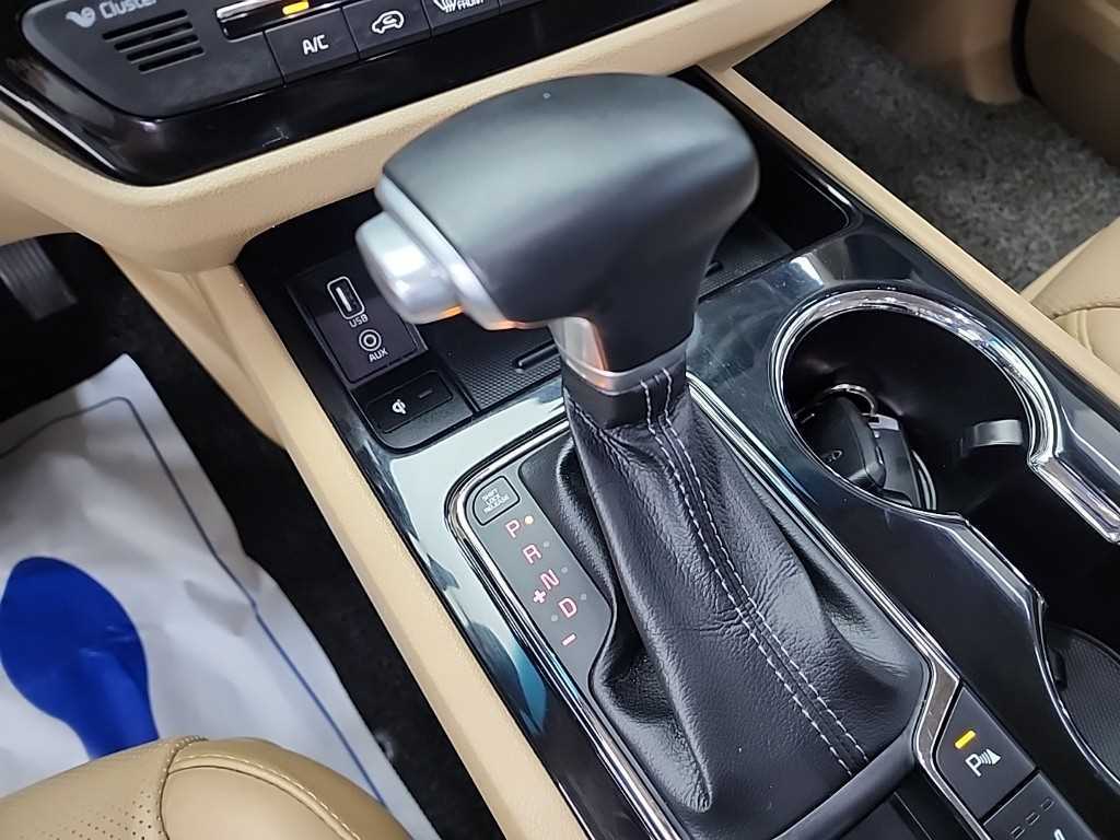 KIA Carnival - Vista 8