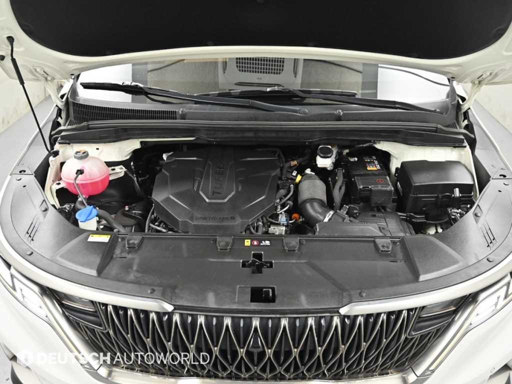 KIA Carnival - Vista 6