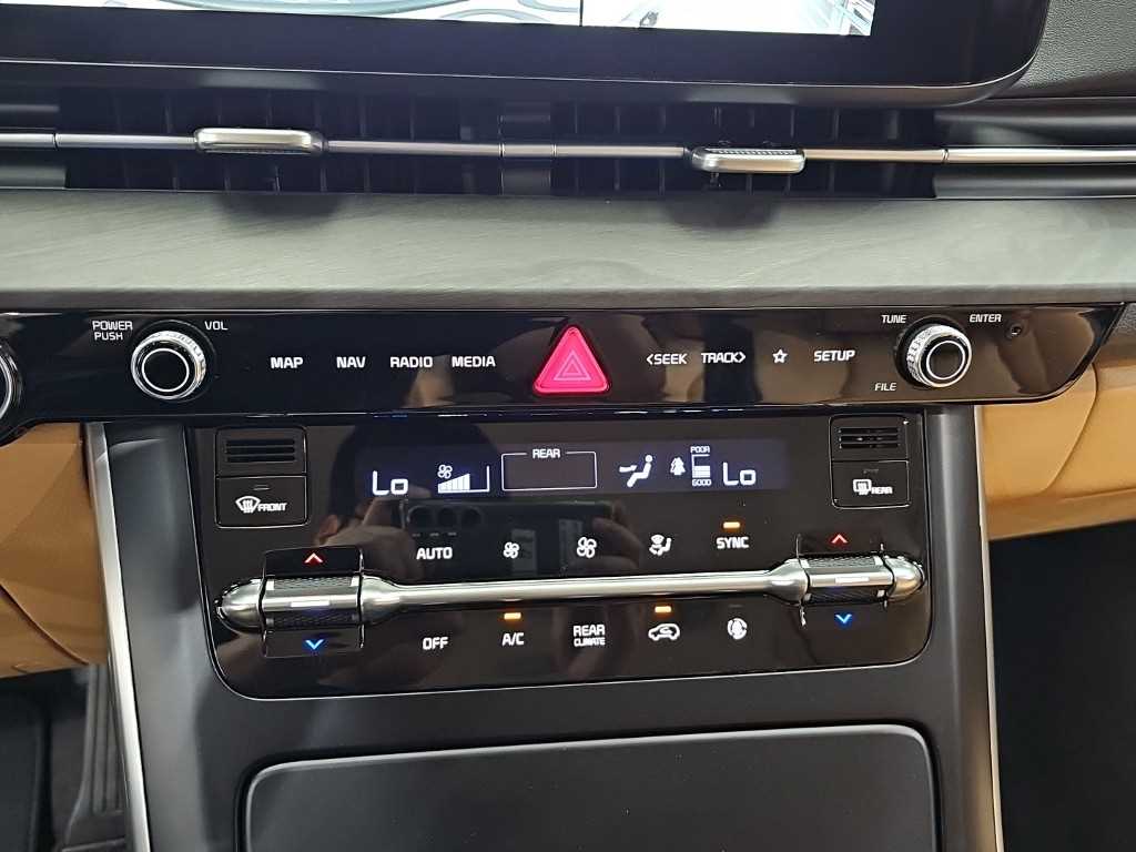 KIA Carnival - Vista 10