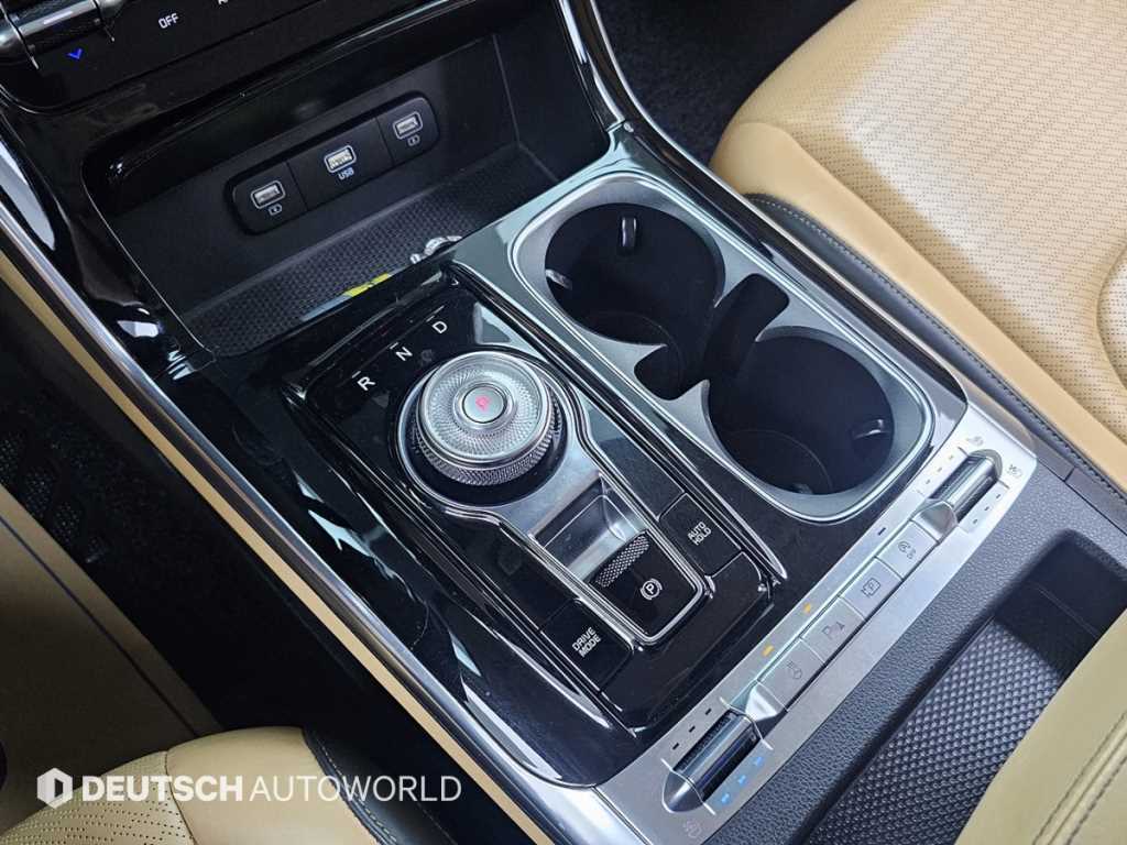 KIA Carnival - Vista 9