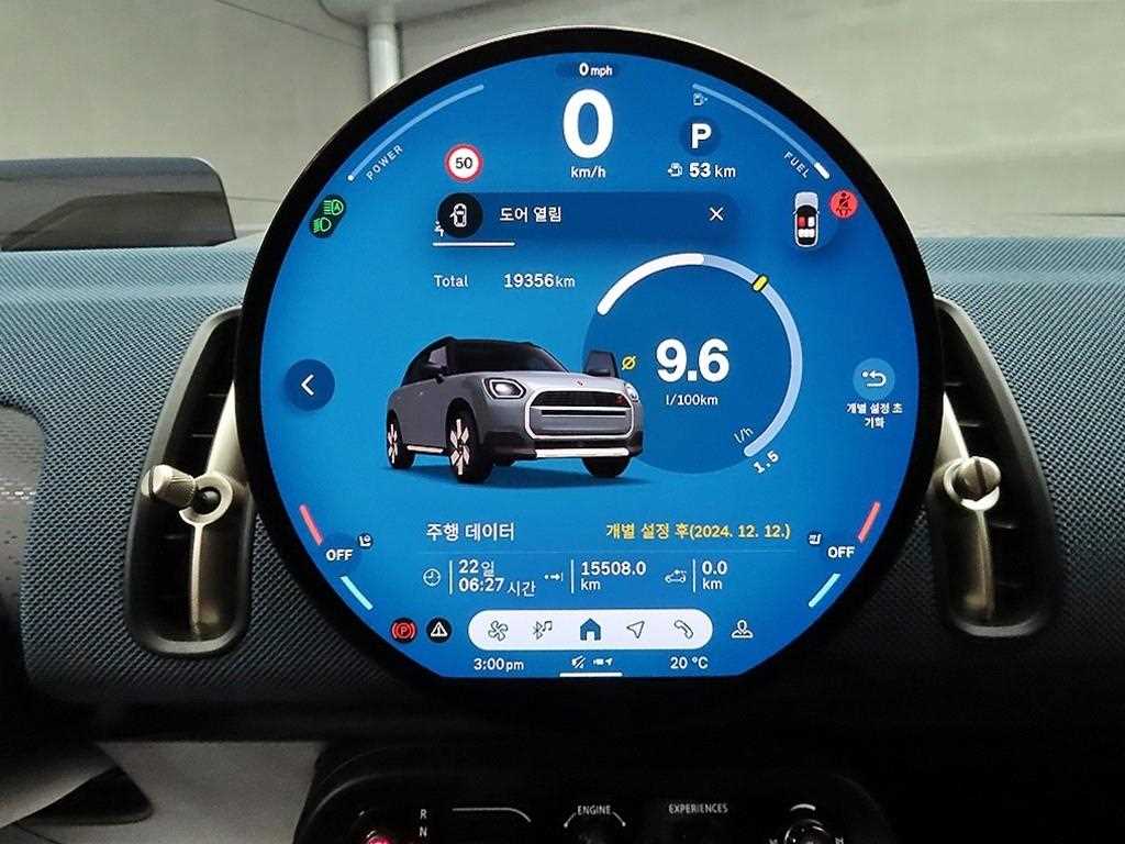 Mini Countryman - Vista 10