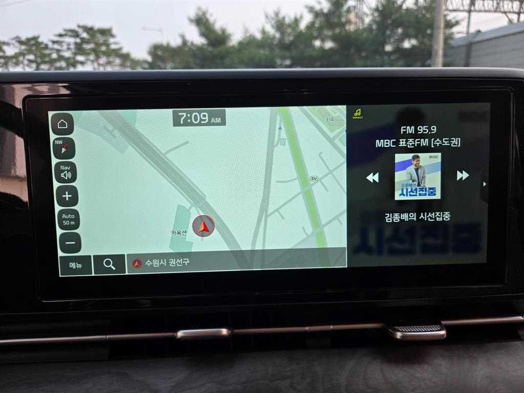 KIA Carnival - Vista 12