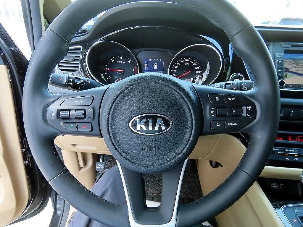KIA Carnival - Vista 12