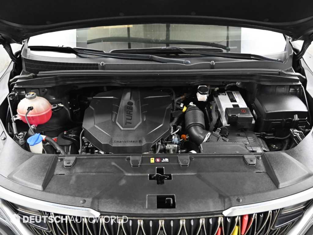 KIA Carnival - Vista 6