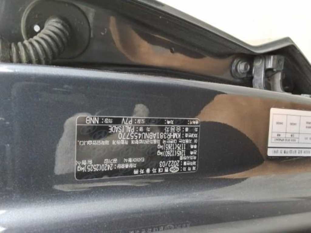 HYUNDAI Palisade - Vista 10