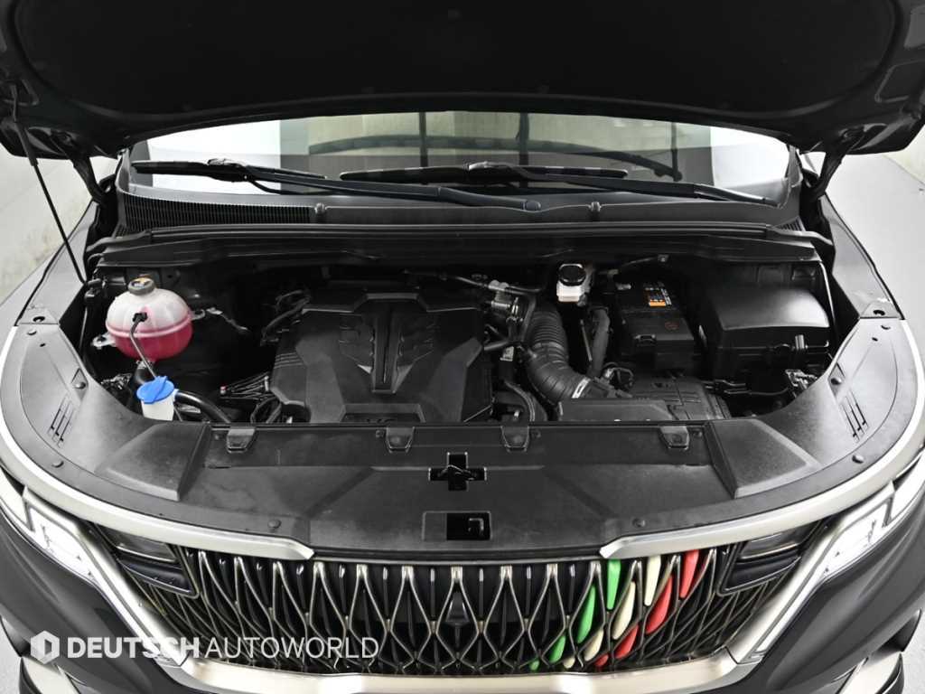 KIA Carnival - Vista 6