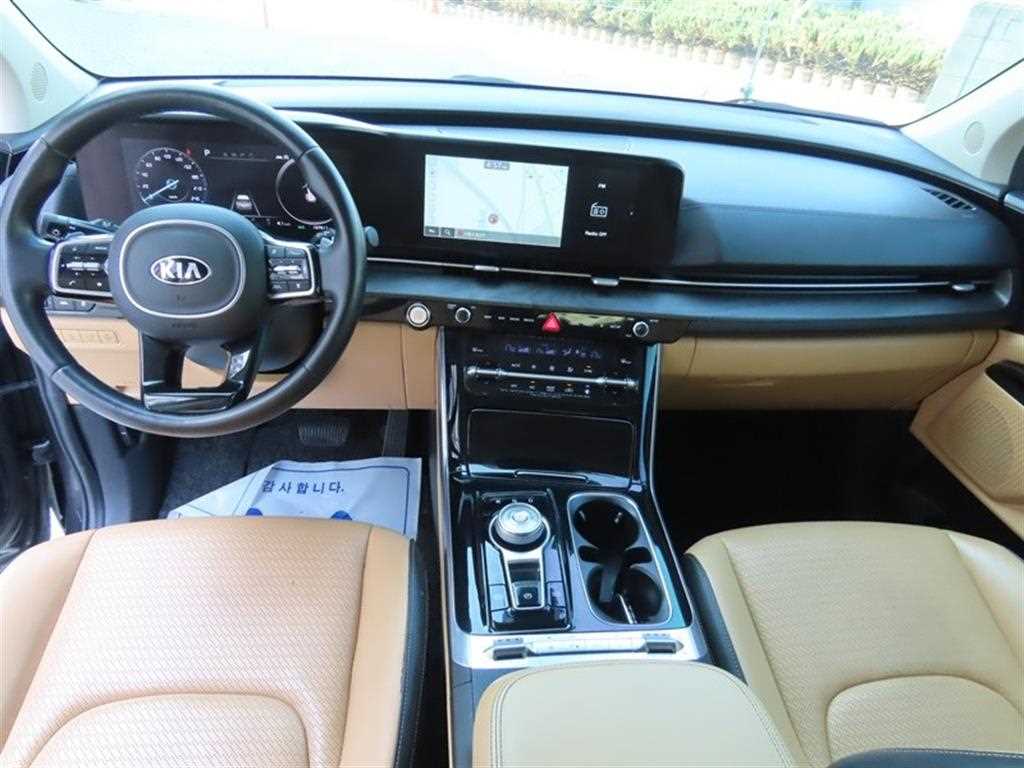 KIA Carnival - Vista 9